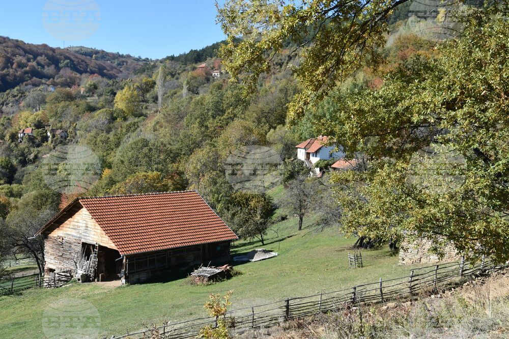 Сърбия - Село Милевци - изглед