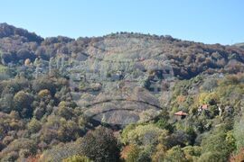 Сърбия - Село Милевци - изглед