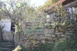 Сърбия - Село Милевци - изглед