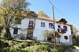 Сърбия - Село Милевци - изглед