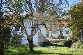 Сърбия - Село Милевци - изглед