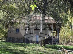 Сърбия - Село Милевци - изглед