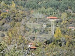 Сърбия - Село Милевци - изглед