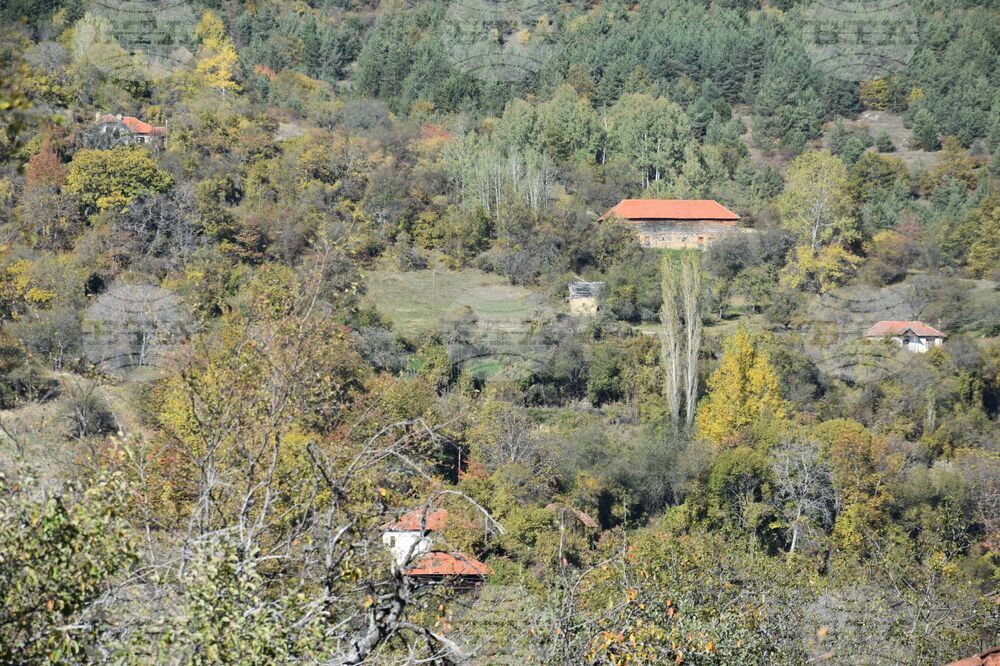 Сърбия - Село Милевци - изглед