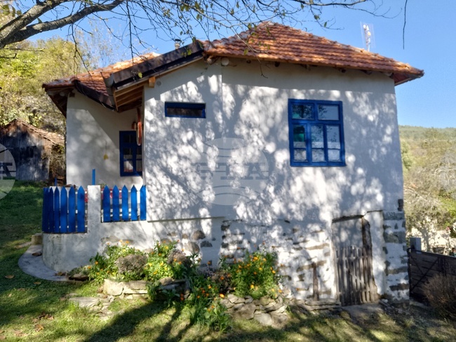 Босилеградското село Милевци – минало и настояще