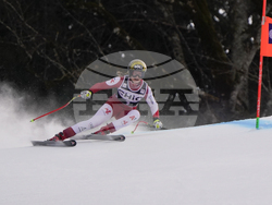 Austria Alpine Skiing World Cup