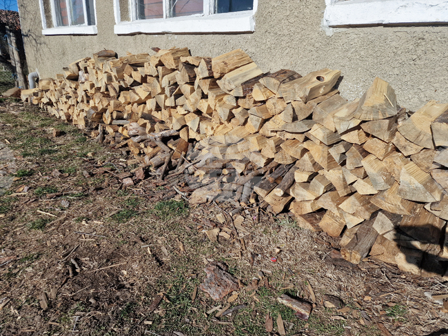 Община Болярово започна записването за дърва за огрев за домакинствата