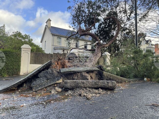 АНП: Полети до и от Обединеното кралство и Ирландия на летище Схипхол са отменени заради бурята "Ейоуин" 