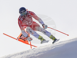 Austria Alpine Skiing World Cup