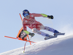 Austria Alpine Skiing World Cup