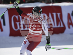 Austria Alpine Skiing World Cup