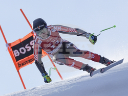 Austria Alpine Skiing World Cup