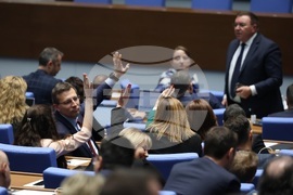 Парламент - заседание