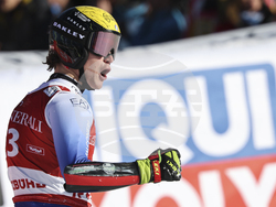 Austria Alpine Skiing World Cup