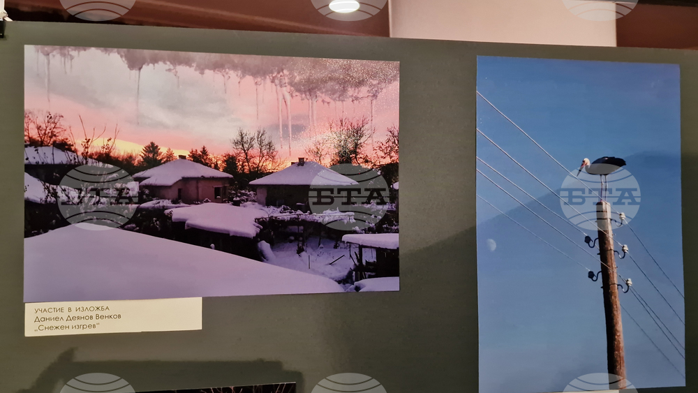 Разград - фотоконкурс - „Разград - уловени мигове”