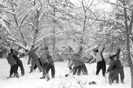 Курорт  "Вили Костенец"