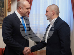 Снимка: Президентство - Президентът Румен Радев се срещна с Христиан Пендиков