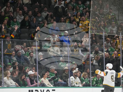 Golden Knights Stars Hockey