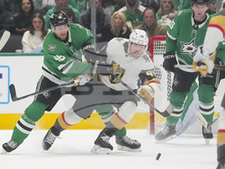 Golden Knights Stars Hockey