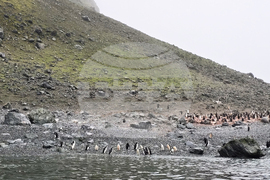 Антарктида - остров Ливингстън - залив Фолс бей - дейности
