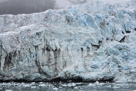 Антарктида - остров Ливингстън - залив Фолс бей - дейности