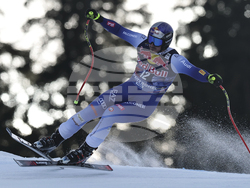 Austria Alpine Skiing World Cup