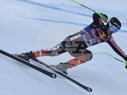 Austria Alpine Skiing World Cup