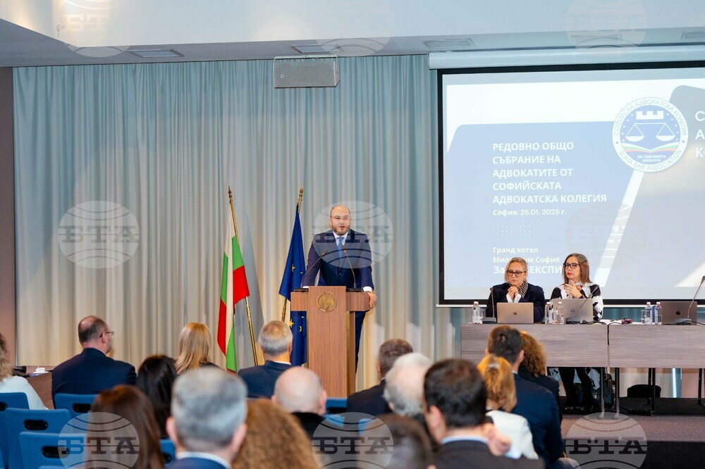 Justice Minister: Lawyers Are Guarantor of Spirit of Law