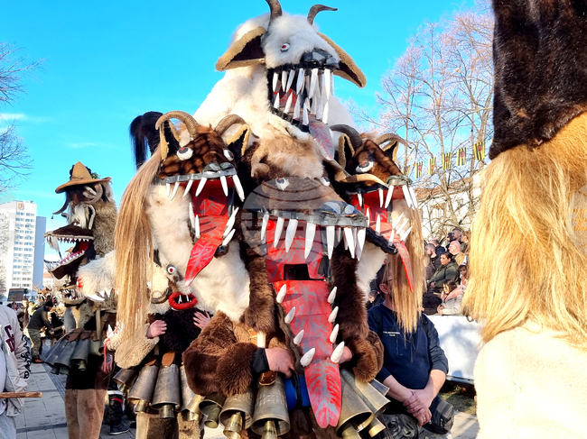 Перник - Сурва - дефилета - втори ден