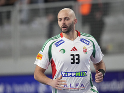 Handball Men's Worlds