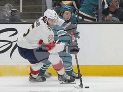 Panthers Sharks Hockey