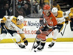 Predators Ducks Hockey