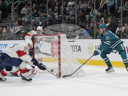 Panthers Sharks Hockey