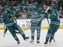 Panthers Sharks Hockey