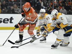 Predators Ducks Hockey