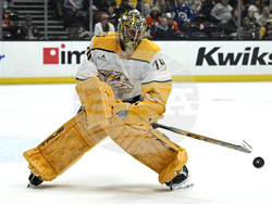 Predators Ducks Hockey