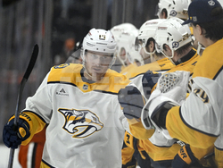 Predators Ducks Hockey