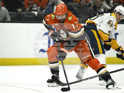 Predators Ducks Hockey