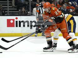 Predators Ducks Hockey