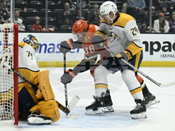 Predators Ducks Hockey