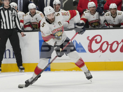 Panthers Sharks Hockey