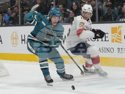 Panthers Sharks Hockey
