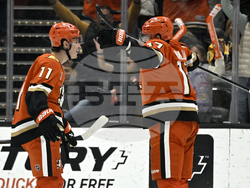 Predators Ducks Hockey