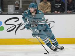 Panthers Sharks Hockey