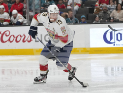 Panthers Sharks Hockey