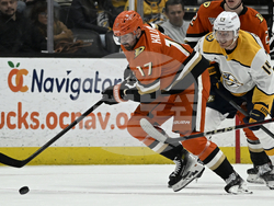 Predators Ducks Hockey