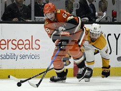 Predators Ducks Hockey