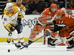 Predators Ducks Hockey