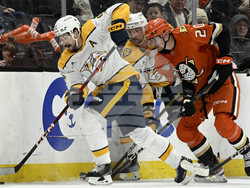 Predators Ducks Hockey