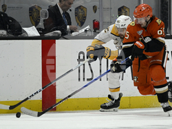 Predators Ducks Hockey